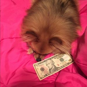 Meet your Posher, Nicole